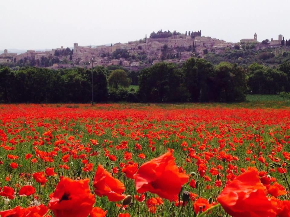 منزل الضيف سبيلّو  في Le Ghiande المظهر الخارجي الصورة