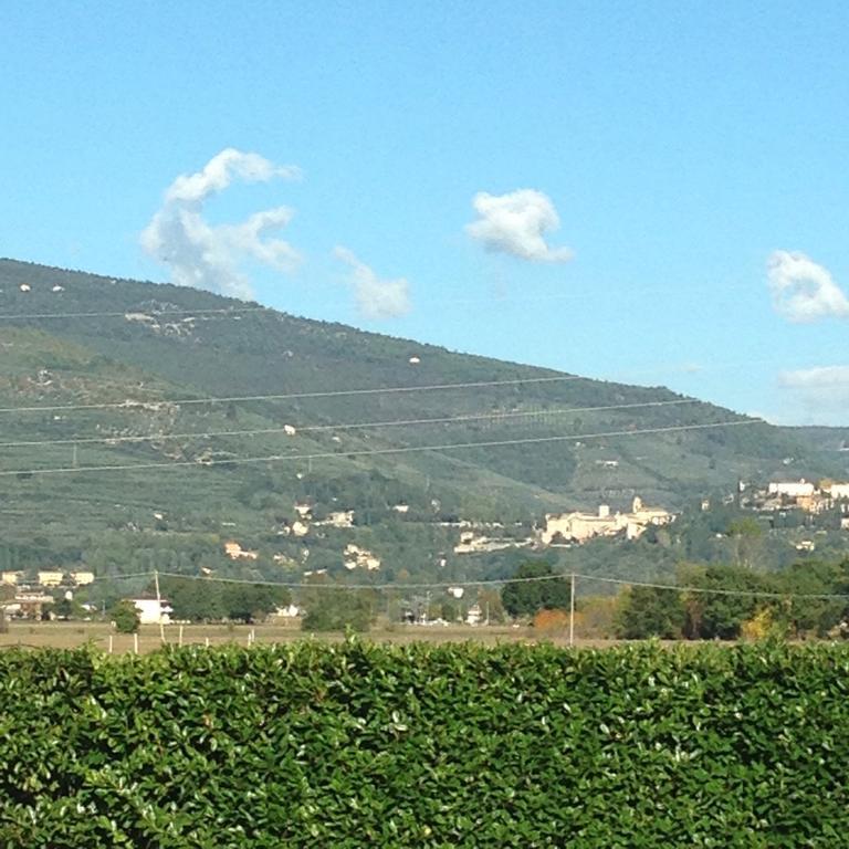 منزل الضيف سبيلّو  في Le Ghiande المظهر الخارجي الصورة