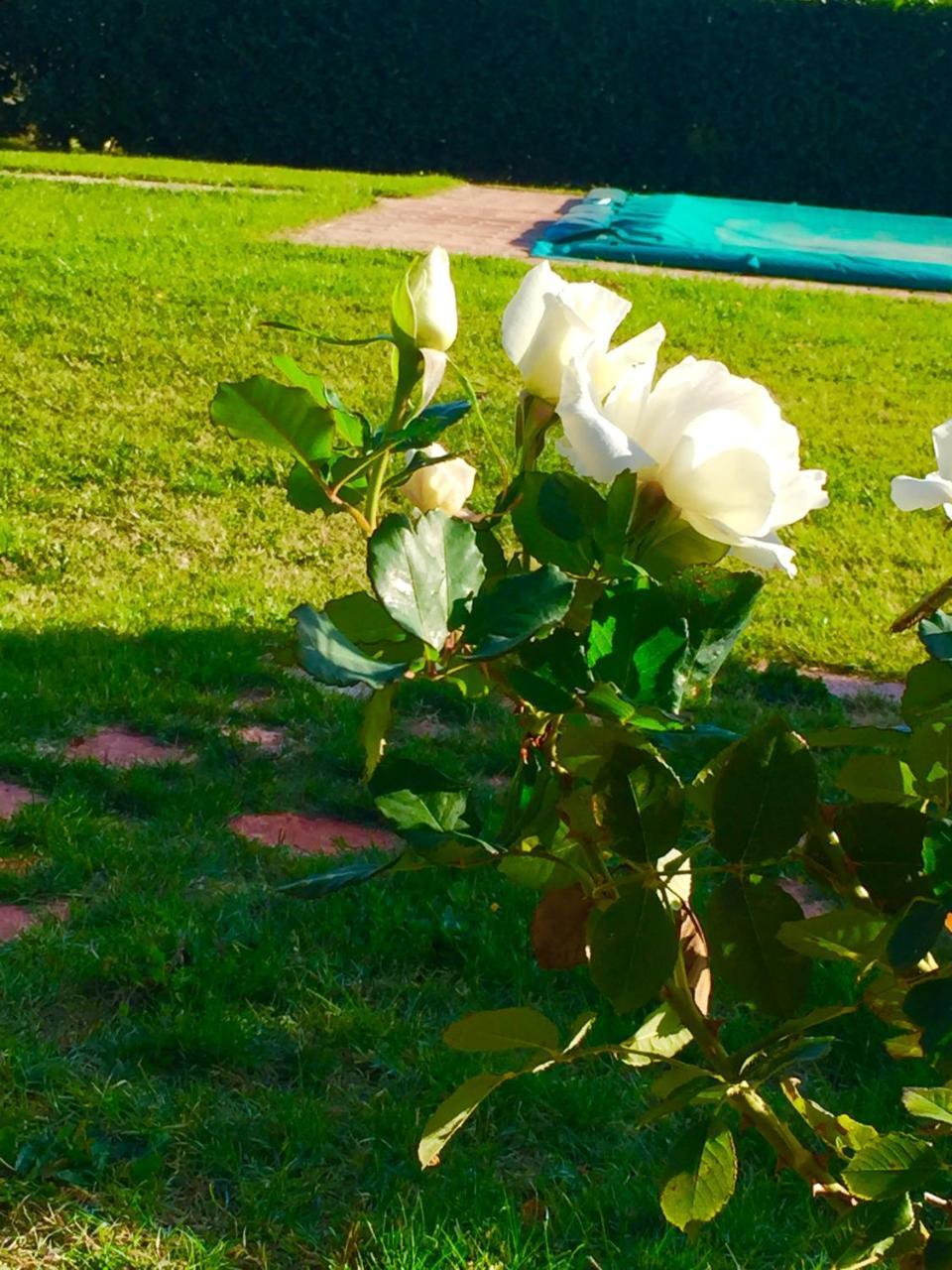 منزل الضيف سبيلّو  في Le Ghiande المظهر الخارجي الصورة
