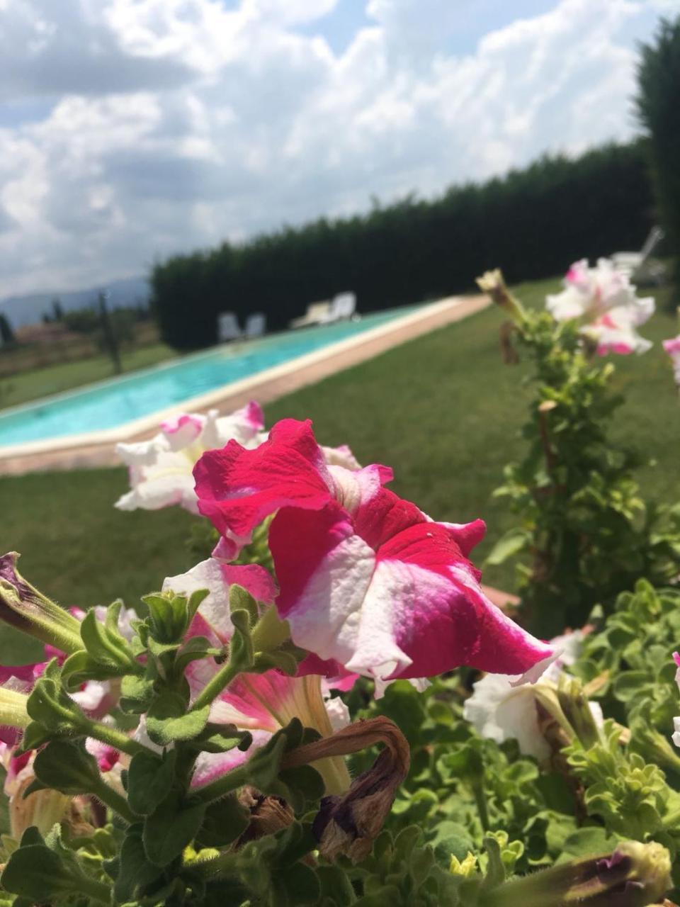 منزل الضيف سبيلّو  في Le Ghiande المظهر الخارجي الصورة
